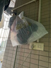 宜之選保鮮袋大號400只食品級加厚30x40cm塑料袋超市商用點(diǎn)斷式連卷袋 曬單實(shí)拍圖