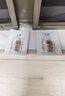 玉澤（Dr.Yu）煥活緊塑修護(hù)霜50g緊致抗皺修護(hù)面霜17型膠原霜屏障修護(hù)保濕霜 曬單實拍圖