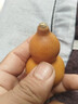 御如意天然特小手捻把玩包漿老葫蘆文玩胡草里金小葫蘆手把掛件帶龍頭 【紫皮4-6厘米】一個(gè) 曬單實(shí)拍圖