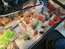 寵小島混養(yǎng)缸魚缸烏龜缸飼養(yǎng)缸魚龜混養(yǎng)生態(tài)一體缸過濾制氧懶人新手魚缸 京倉發(fā)貨【奢華款】黑色+燈+過濾+造景+抽水 中號(38.8x21.5x21.2cm) 曬單實拍圖