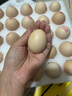 康咯咯康大可生食雞蛋無抗鮮雞蛋營(yíng)養(yǎng)雞蛋無沙門氏菌高品質(zhì)蛋單枚50g+ 【居家必備可生食】30枚  1.5kg+ 曬單實(shí)拍圖