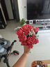 樂高（LEGO）10328 玫瑰花束 百變高手創(chuàng)意成人粉絲收藏款積木玩具七夕禮物 曬單實拍圖