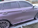 綠田（LUTIAN）粉紅女郎預洗液洗車(chē)液飛雪高泡洗車(chē)水蠟汽車(chē)清潔劑泡沫劑 粉紅女郎 483ml 1瓶 個(gè)人推薦裝 曬單實(shí)拍圖