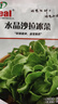 IDEAL理想農業(yè) 水晶沙拉冰菜種子四季盆栽農家蔬菜種籽水晶冰草菜種子 曬單實(shí)拍圖
