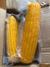 東北黃糯玉米真空包裝速食玉米軟糯香甜代餐小棒140g-180g 5根特惠裝 曬單實(shí)拍圖