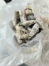 東上御品 國產(chǎn)青島大蝦 特大號白蝦 2030規格 凈重3斤 盒裝活凍 曬單實(shí)拍圖