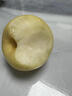 桃西村廣元蒼溪黃金梨【老品種】四川特產(chǎn)黃皮翠冠梨黃金梨子新鮮水果 9斤 精選特大果【單果300g+】 曬單實(shí)拍圖