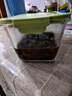 欣美雅（xinmeiya）冰箱保鮮盒玻璃腌菜缸大容量微波爐密封罐泡菜泡椒鳳爪保溫盒 抹茶綠超大款2600ml 曬單實(shí)拍圖