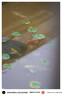 聯(lián)合創(chuàng)新40英寸帶魚屏 準(zhǔn)4K顯示器 144Hz Type-C90W反向充電 智慧雙屏 剪輯設(shè)計(jì)游戲辦公電腦顯示屏40C1R 曬單實(shí)拍圖