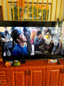 東芝電視65Z500QF 65英寸 Mini LED控光 144Hz 3+128GB 火箭炮音響 4K超清 以舊換新家電國家補(bǔ)貼 曬單實拍圖