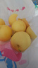 京鮮生 河北辛集白玉皇冠梨 凈重4.5斤 單果230g+  生鮮水果 源頭直發(fā) 曬單實(shí)拍圖