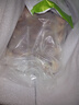 崠鮮 鵪鶉 現殺鵪鶉肉新鮮冷凍白條母鵪鶉 燒烤生鮮 母鵪鶉凈重3斤 共10只 曬單實(shí)拍圖