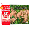 大象的旅程 兒童繪本3-6-9歲自然動(dòng)物科普童書(shū)小學(xué)生課外書(shū)閱讀書(shū)籍 曬單實(shí)拍圖