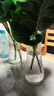 玻璃花瓶透明植物插花瓶水培容器大花瓶裝飾客廳擺件 【熱銷(xiāo)】透明水波紋（17*5.5*8） 1個(gè)裝 曬單實(shí)拍圖