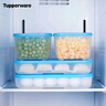 特百惠（Tupperware）冷凍700ml*2保鮮盒食品級冰箱儲物收納盒肉類(lèi)速凍速解密封不串味 曬單實(shí)拍圖