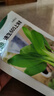 北蔬 小青菜種子苗上海青梗菜油菜種籽 速生605上海青種子50g約2萬粒 曬單實(shí)拍圖