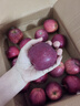 花牛 天水花牛蘋(píng)果 TIANSHUI HUANIU APPLE 當季現摘粉面紅蘋(píng)果 新鮮水果整箱 孕婦 寶寶輔食 團購送禮 蛇果 5斤裝（凈果4.5-5斤）優(yōu)選果 曬單實(shí)拍圖