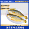 GUO LIAN國聯(lián)三去黃花魚(yú)2條共凈重2斤國產(chǎn)寧德東海大黃魚(yú)中秋聚餐海鮮食材 曬單實(shí)拍圖