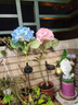 新款一體式太陽能庭院花燈繡球花園裝飾坪燈露營地農莊陽臺氛圍燈 單頭太陽能繡球花粉自動亮燈 曬單實拍圖