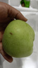 格沃斯正宗老樹(shù)印度青蘋(píng)果純甜無(wú)酸丑蘋(píng)果哏甜老品種新鮮印冬糖心4.5斤 4.5斤大果（7-9個(gè)果子） 曬單實(shí)拍圖