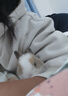 寵物兔活物茶杯長(cháng)不大不咬人迷你侏儒兒童養貓貓兔荷蘭垂耳兔活體 隨機毛色（不指定公母） 曬單實(shí)拍圖