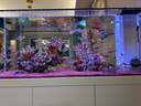 吉印刀鋒z魚(yú)缸燈增艷led燈潛水金魚(yú)紅龍魚(yú)血鸚鵡錦鯉羅漢增色燈全光譜 76cm增艷燈20W【76-85cm缸】 曬單實(shí)拍圖