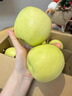 順豐正宗陜西白水瑞雪蘋(píng)果5斤翡翠青蘋(píng)果新鮮水果脆甜瑞陽(yáng)禮盒L3 5斤中小果【順豐現摘精品】70-75mm左右 曬單實(shí)拍圖