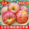 正宗25年新果云南昭通冰糖心丑蘋(píng)果新鮮水果現摘脆甜野生富士蘋(píng)果 10斤凈重90mm以上 曬單實(shí)拍圖