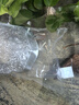觀背青鱂魚送飼料精品青鱂魚星光魚卵球體不打氧小型冷水觀賞魚 2.5-3cm觀背青鏘混色隨機30條 下單送魚食【運輸包損】 曬單實拍圖