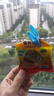 【京東物流】寵物龜糧巴西烏龜糧 彩色龜糧小顆粒飼料補充食物 1包龜糧【拉新專(zhuān)享】 曬單實(shí)拍圖