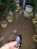 【高亮三燈芯】三眼小怪獸戶外強光LED手電筒可充電便攜迷你手電 【全網(wǎng)低價】250毫安 ABS高亮款 曬單實拍圖