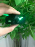 擊音【4麥降噪+0延遲感】6.0藍牙耳機無(wú)線(xiàn)入耳式 電競游戲吃雞聽(tīng)聲通話(huà)音樂(lè )長(cháng)續航 適用蘋(píng)果華為手機男 曬單實(shí)拍圖