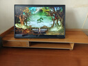 維辰思 便攜式顯示器4K QLED 16:10電競屏觸摸 電腦Mac 筆記本一線(xiàn)直連Switch手機Ps5游戲辦公外接顯示屏 16英寸超4K 非觸 AU16 曬單實(shí)拍圖