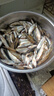 穿透王秋冬季野釣鯽魚(yú)鯉魚(yú)青魚(yú)小藥餌料黑坑肥水蛋奶味窩料果酸誘魚(yú)劑 【水肥臭底黑坑小藥】肥水聚魚(yú)餌 60毫升 曬單實(shí)拍圖