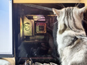 微星（MSI）?；赎猂S Ultra U7 265KF/RTX5070/32GDDR5/1T國家補貼三角洲水冷游戲設(shè)計師臺式電腦主機全套整機 曬單實拍圖