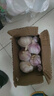 紫白皮蒜水果大蒜超市即食生鮮蔬菜大蒜 【優(yōu)選】帶箱 1斤 單果3.5-5cm 曬單實(shí)拍圖