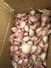 【臘月出苔】出蒜苔正宗紫皮大蒜瓣子紅皮大蒜本地農(nóng)家土蒜紅根蒜 正宗 紫皮大蒜種子 可食用可種植 五斤 凈重 曬單實(shí)拍圖