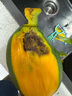 壹萌果蔬凱特芒芒果 當季現摘四川大芒果新鮮水果青芒果整箱送禮 5斤精品果【單果300g+】 凈4.5斤 曬單實(shí)拍圖