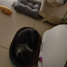 瘋狂的主人貓抓板窩特大號貓玩具貓爪板貓抓盆不掉屑貓窩橢圓形瓦楞紙 曬單實拍圖