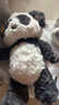 babycare熊貓安撫玩偶睡眠手偶阿貝貝嬰兒寶寶睡覺(jué)毛絨玩具新生兒見(jiàn)面禮盒 曬單實(shí)拍圖