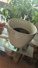 悠瓷（youcci）創(chuàng)意馬克杯家用陶瓷杯高顏值早餐杯咖啡杯女生可愛喝水杯子大容量 浮雕早餐杯-蝴蝶 曬單實拍圖