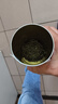 樂(lè)品樂(lè)茶特級(jí)毛尖茶葉綠茶2025明前春茶伴手茶禮盒裝共250g中秋送長(zhǎng)輩 曬單實(shí)拍圖