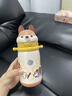 babycare兒童保溫杯嬰兒小松鼠寶寶1-3歲不銹鋼吸管水杯壺學(xué)生上學(xué)450ml 曬單實(shí)拍圖
