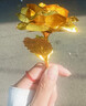 金石通天然瑪瑙玉髓男女細玉戒指紅本命年加寬情侶石頭食指大拇指環(huán)尾戒 3mm款18-19mm 金店17.18.19號 曬單實(shí)拍圖