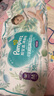 幫寶適（Pampers）清新幫尿不濕嬰兒紙尿褲拉拉褲 M50片【拉拉褲】 曬單實拍圖