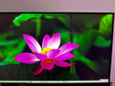 AOC 愛(ài)攻27英寸 2304區(qū)9216顆燈珠MiniLED 4K 160Hz雙模320Hz 1ms HDR1400 10bit電競(jìng)顯示器AG275UXM2 曬單實(shí)拍圖