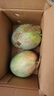 四川攀枝花凱特芒果 當季新鮮現摘芒果青整箱芒水果送禮禮盒 帶箱5斤裝【很劃算】?jì)糁?斤裝 甄選果【單果500g+】 曬單實(shí)拍圖