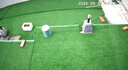 360攝像頭BC6 4G版 300萬(wàn)高清像素永久免流量?jì)戎秒姵孛饬髅獯蚩酌獠季€(xiàn)一秒安裝無(wú)電無(wú)網(wǎng)專(zhuān)用室外家用 曬單實(shí)拍圖