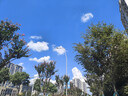啄木鳥(niǎo)（TUCANO）休閑褲男士四季款純色商務(wù)時(shí)尚彈力修身百搭長(cháng)西褲子男裝 黑色 32 曬單實(shí)拍圖