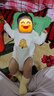 貝瑞加（Babyprints）新生兒包屁衣2件裝嬰兒A類純棉連體衣親膚柔軟長(zhǎng)袖內(nèi)衣 黃66 曬單實(shí)拍圖
